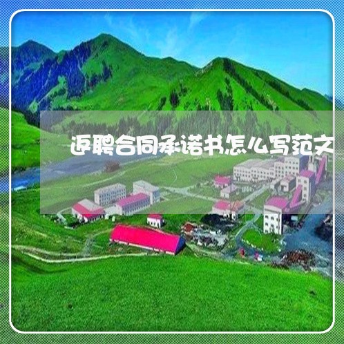 返聘合同承诺书怎么写范文/2023041550583