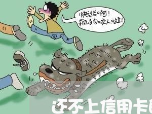 还不上信用卡的人多么