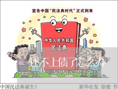 还不上债了怎么办/2023100705036