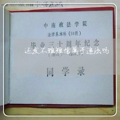 还发不雅短信属于违法吗