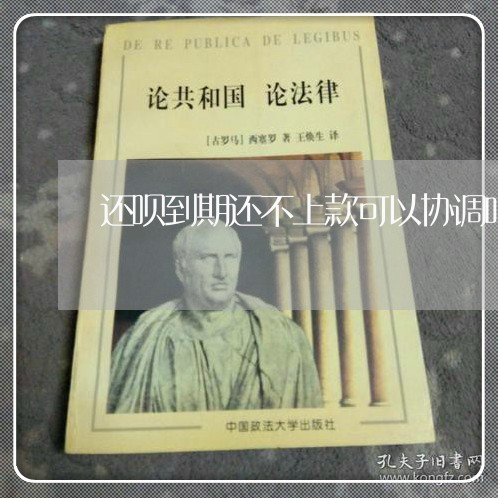 还呗到期还不上款可以协调吗/2023061626149 还呗到期还不上款可以协调吗/2023061626149