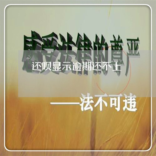 还呗显示逾期还不上/2023112681404