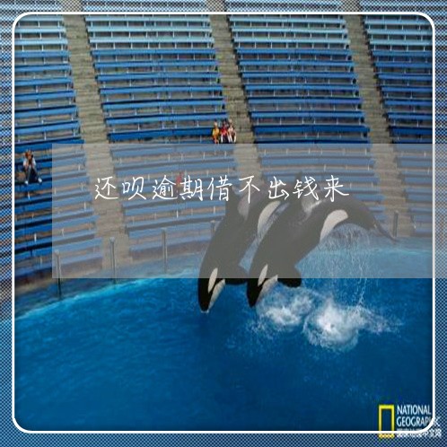 还呗逾期借不出钱来 还呗逾期借不出钱来