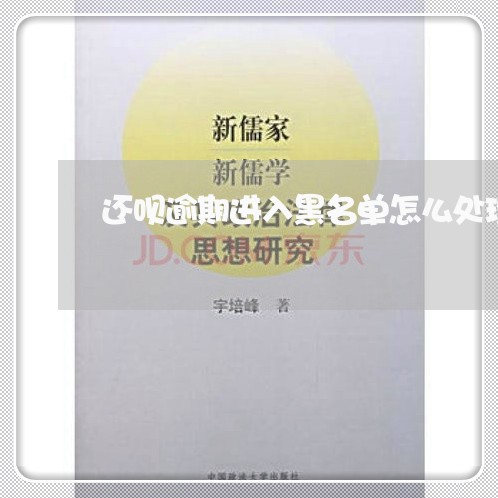 还呗逾期进入黑名单怎么处理
