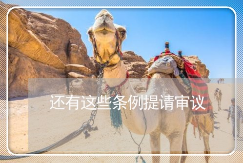 还有这些条例提请审议 还有这些条例提请审议