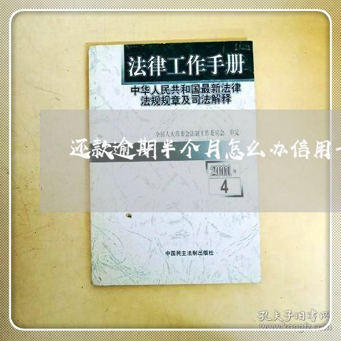 还款逾期半个月怎么办信用卡 还款逾期半个月怎么办信用卡
