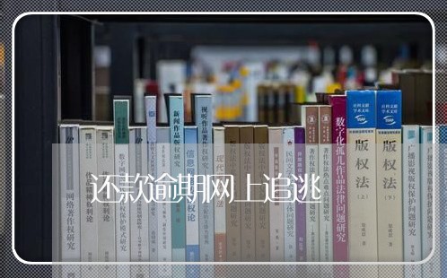还款逾期网上追逃 还款逾期网上追逃