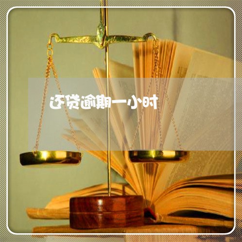 还贷逾期一小时 还贷逾期一小时