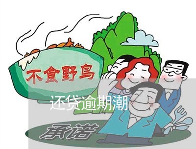 还贷逾期潮