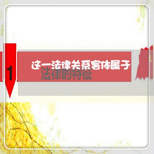 这一法律关系客体属于