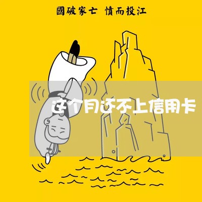 这个月还不上信用卡