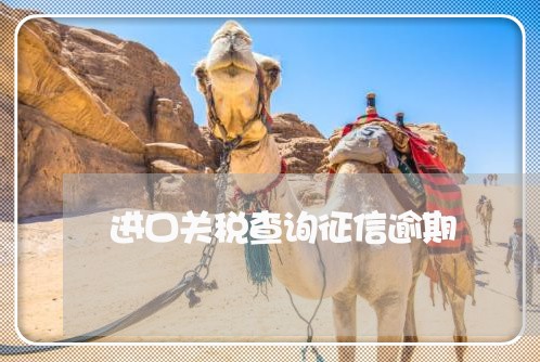 进口关税查询征信逾期