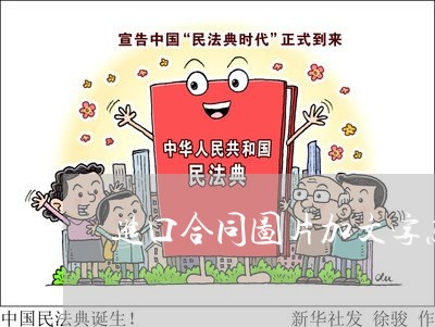 进口合同图片加文字怎么写/2023041259562 进口合同图片加文字怎么写/2023041259562