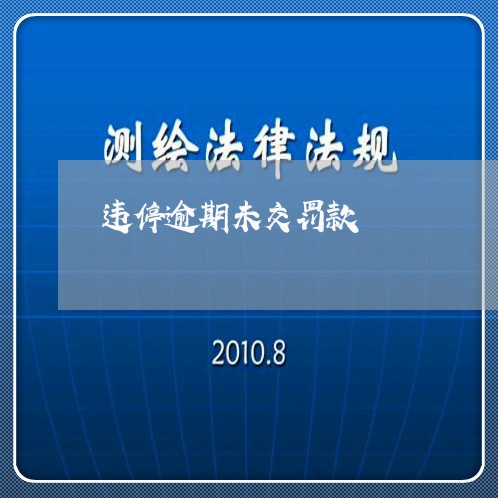 违停逾期未交罚款