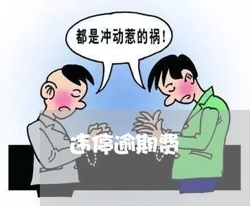 违停逾期费