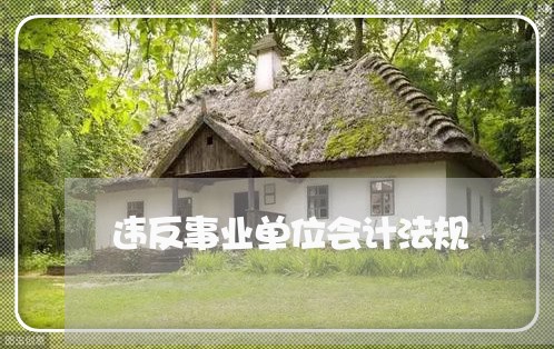 违反事业单位会计法规 违反事业单位会计法规