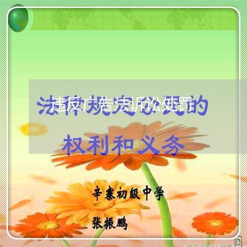 违反广告法诉讼处罚