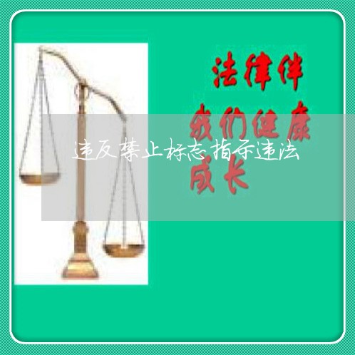 违反禁止标志指示违法