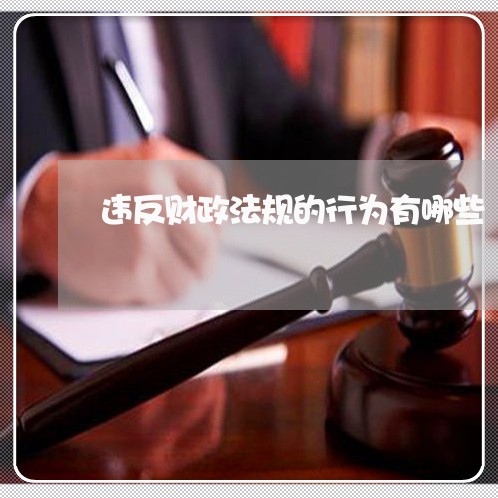 违反财政法规的行为有哪些
