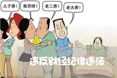 违反财经纪律违法