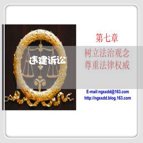 违建诉讼 违建诉讼