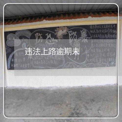 违法上路逾期未 违法上路逾期未