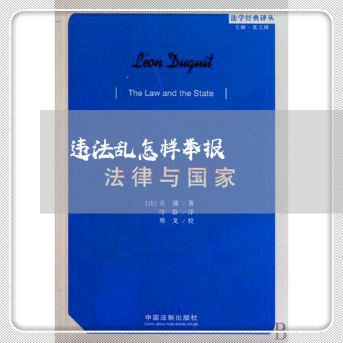 违法乱怎样举报