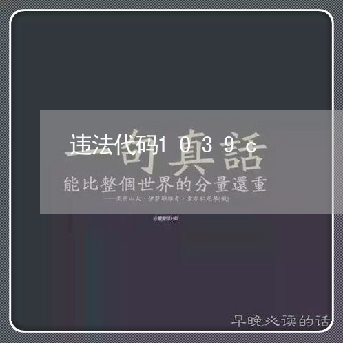 违法代码1039c