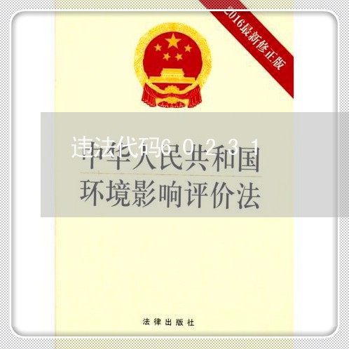 违法代码60231 违法代码60231
