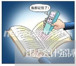 违法会计强制性规定