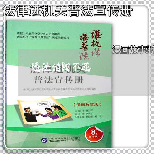 违法借钱不还
