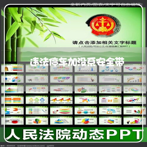 违法停车加没系安全带