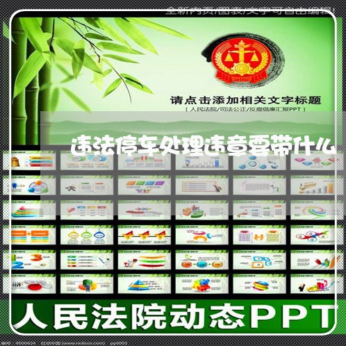 违法停车处理违章要带什么 违法停车处理违章要带什么