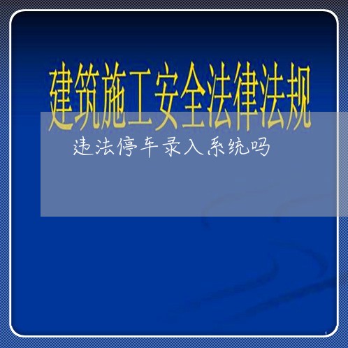 违法停车录入系统吗 违法停车录入系统吗