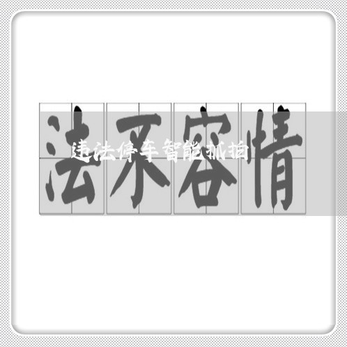 违法停车智能抓拍 违法停车智能抓拍