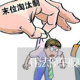 违法停车被电子警察拍了
