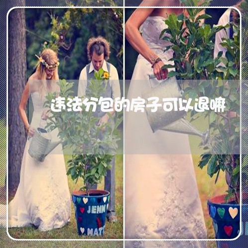违法分包的房子可以退嘛 违法分包的房子可以退嘛
