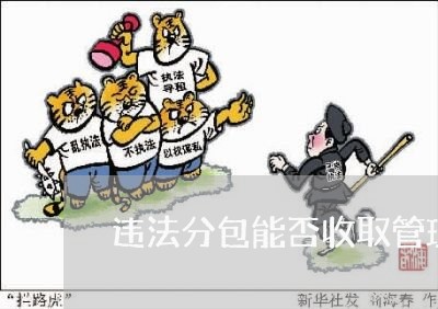 违法分包能否收取管理费