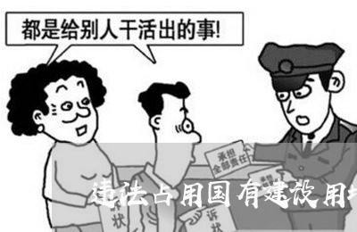 违法占用国有建设用地处罚