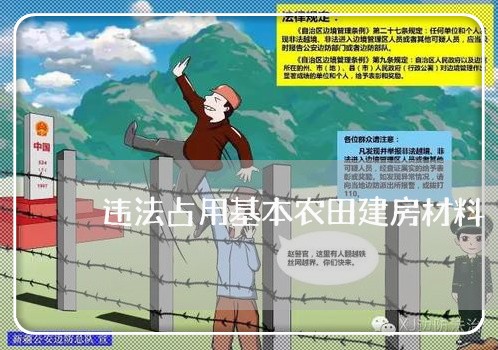 违法占用基本农田建房材料 违法占用基本农田建房材料
