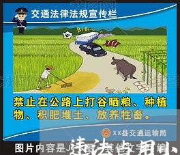 违法占用小区规划道路 违法占用小区规划道路