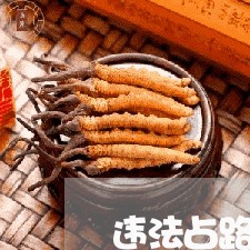 违法占路种果树 违法占路种果树