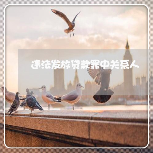 违法发放贷款罪中关系人 违法发放贷款罪中关系人