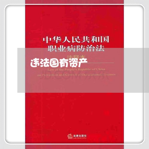 违法国有资产 违法国有资产