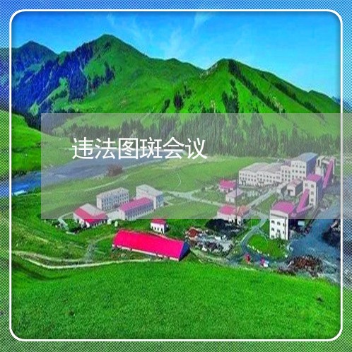 违法图斑会议 违法图斑会议