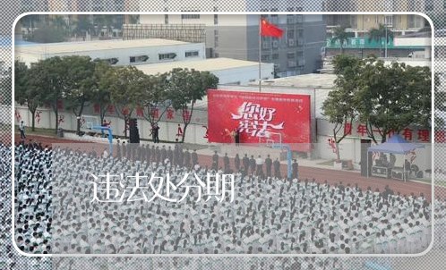 违法处分期 违法处分期