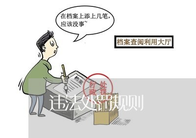 违法处罚规则