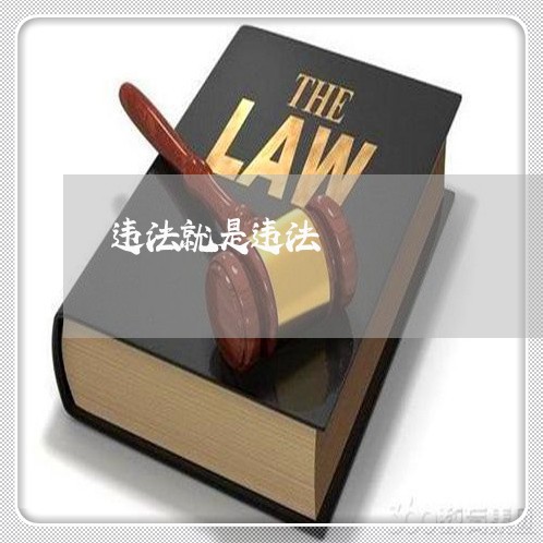 违法就是违法 违法就是违法