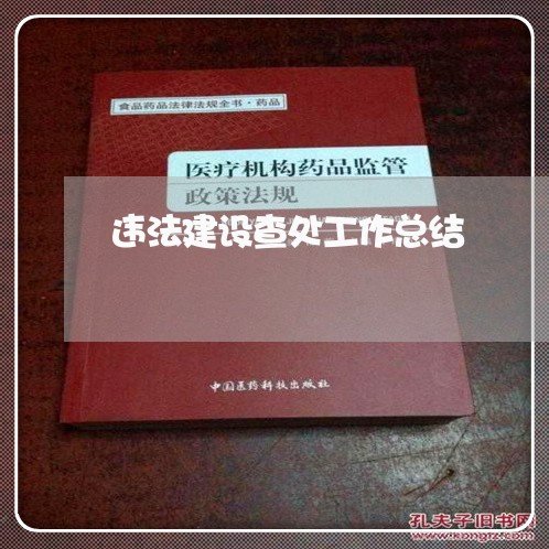 违法建设查处工作总结