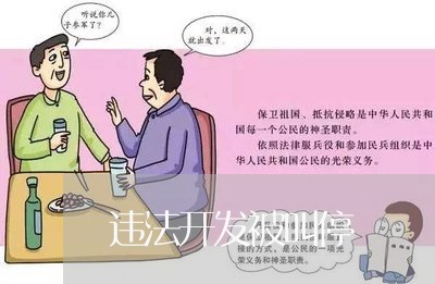 违法开发被叫停 违法开发被叫停
